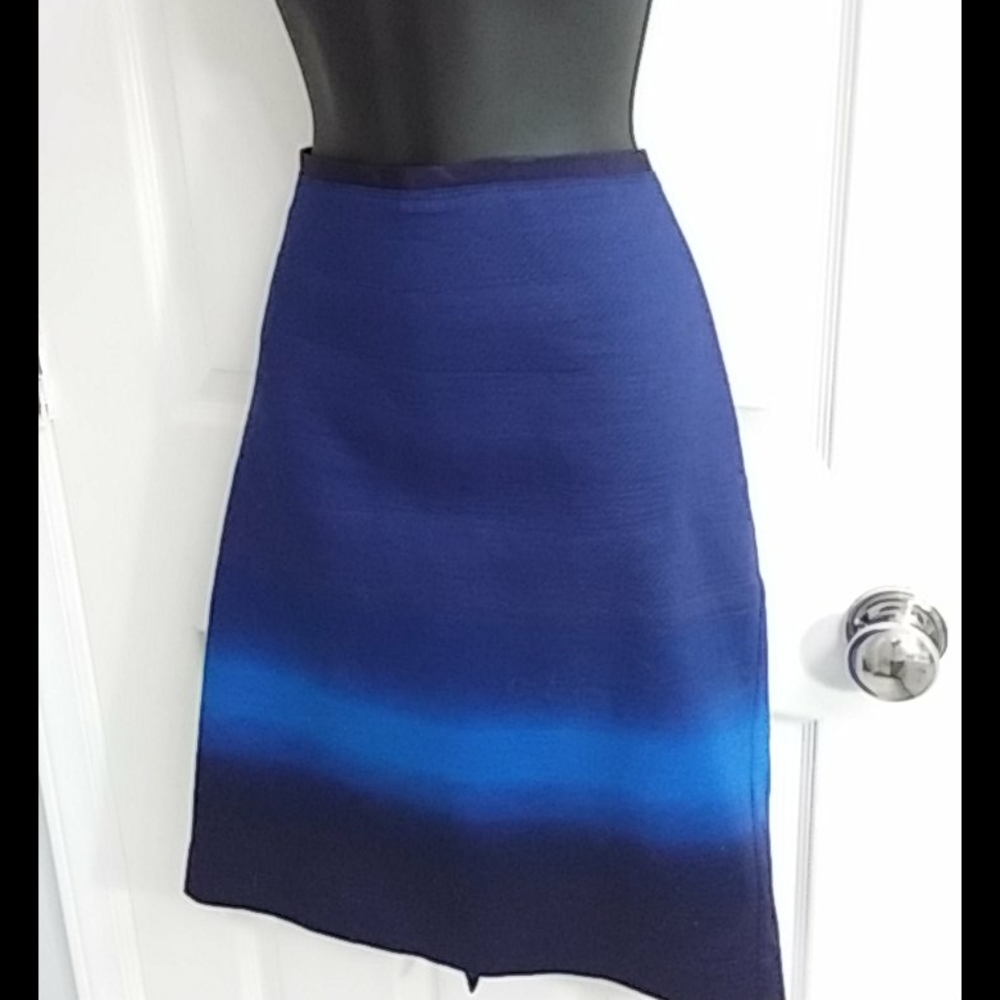 Ombre Skirt